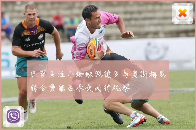 巴萨关注小蜘蛛佩德罗与奥斯梅恩转会费能否承受尚待观察